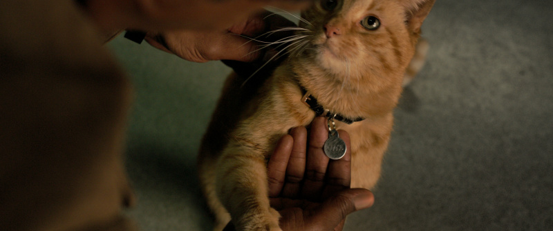 Scene of Captain Marvel with Goose the cat